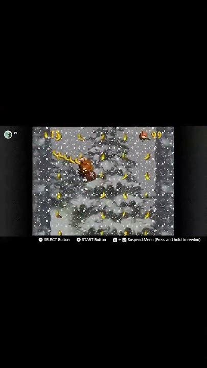 Donkey Kong Country: Snow Barrel Blast + Bonus Rooms.
